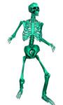 bones.jpg